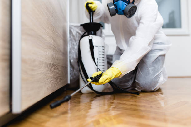 Best Local Pest Control Services  in Perryton, TX
