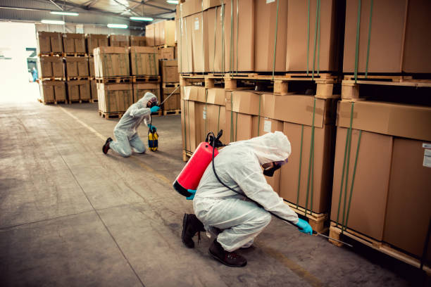 Best Affordable Pest Control Services  in Perryton, TX
