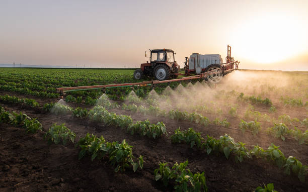 Best Pest Control Near Me in Perryton, TX