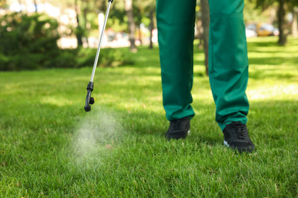 Best Mosquito Control Services  in Perryton, TX