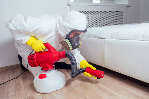 Best Pest Prevention Services  in Perryton, TX