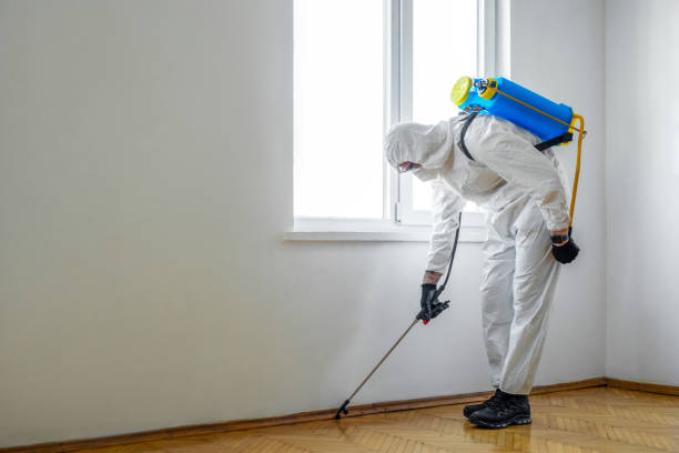 Best Affordable Pest Control Services  in Perryton, TX