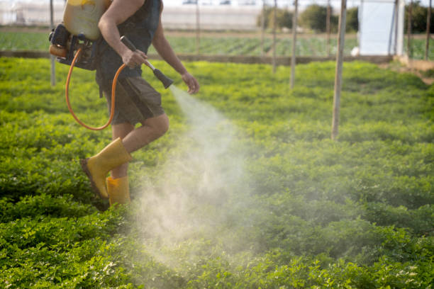 Best Best Pest Control Companies  in Perryton, TX