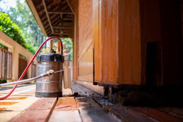 Best Cockroach Control Services  in Perryton, TX