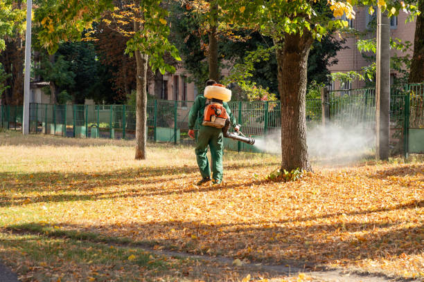 Trusted Perryton, TX Pest Control Experts