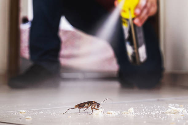 Best Pest Prevention Services  in Perryton, TX
