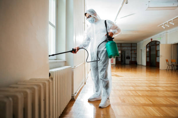 Best Best Pest Control Near Me  in Perryton, TX