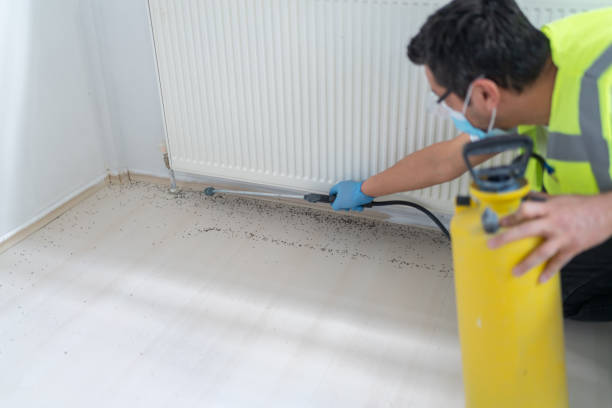 Best Termite Control Services  in Perryton, TX