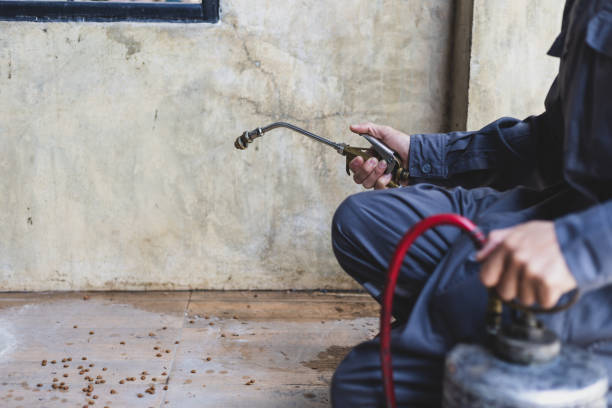 Best Emergency Pest Control  in Perryton, TX